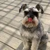 warren stefano - @warren.stefano1 - TikTok