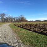 Renee Warren-Stein - @steinfarmhouse2016 - Instagram
