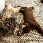 warren n stein - @sn_stein - Instagram