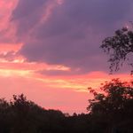 Warren S - @warren.steineke - Instagram