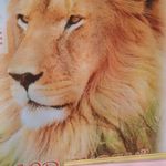 warren steinhauer - @warrensteinhauer - Instagram