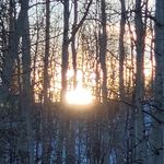 Warren stickney - @stickdog20 - Instagram