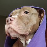 Warren Stickney - @warrenstickney - Instagram