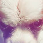 WStover - @warren_stover1 - Instagram