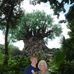 Warren Strauss - Facebook