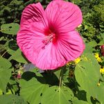 Warren Strickler - @stricklerwarren - Instagram