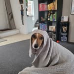 Warren O Sullivan - @warrenmichaelosullivan - Instagram