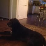 Warren Sullivan - @warrensullivan7 - Instagram