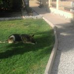 Warren tabor - @warren_spam__ - Instagram