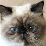 Warren Tam - @warrentam888 - Instagram
