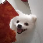 Warren Tang - @warrentang5 - Instagram