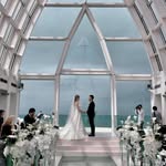 Warren Tang - @tang_warren - Instagram
