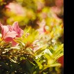 @warren_tang - Instagram