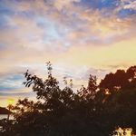 Warren Tang - @warrentang0221 - Instagram
