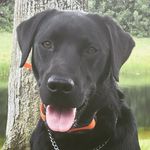 warren tessler - @tesslerwarren - Instagram