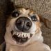 Warren Thornell - Facebook