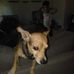 Warren Tripp - Facebook