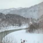 Warren Vance - @warren.vance.31 - Instagram