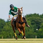 WPW🇨🇭🇺🇸 - @warren_whiting - Instagram