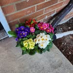 Mici Warren Wiggins - @mccormickiquilter - Instagram