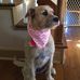 Warren Wind - Facebook
