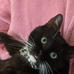 WarrenZook - @bronanthejonan - Instagram