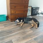 Warrick Jones - @warrick.jones.77 - Instagram