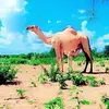 IRSHAAD - @warsamehussein - TikTok