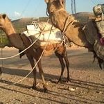 Warsame M Hussein - @warsamemhussein - Instagram