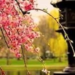 Warsame Ibrahim - @warsame_ibrahim - Instagram