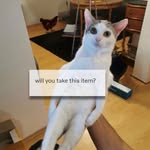 Jake Warwick-Jones - @jakewarwickjones - Instagram