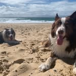 Warwick Jones - @indiana_baylie_jones - Instagram