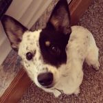 Watson Miller - @watson_themini - Instagram