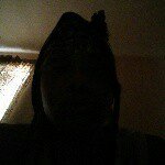 Wayland J Johnson - @waylandjohnson - Instagram