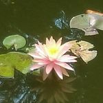 Wayland Johnson - @wayland.johnson - Instagram