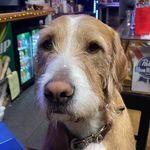 Waylon Baker - @waylon_baker_ - Instagram