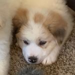 Waylon Baker - @waylonbaker51 - Instagram