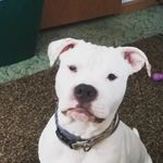 Waylon Baker - @swordmanmaestro - Instagram
