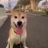 Wholesome boy - @waylonbaker831 - TikTok