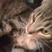 Waylon Brown - Facebook