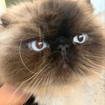 Waylon Brown - @waylonbrown30 - Instagram