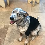 Waylon Brown - @_waylonbbb_ - Instagram