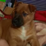 Waylon Chapman - Facebook