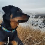Waylon Humphrey Chapman - @itswaylonsworld - Instagram