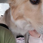 @wayl.onpeterson - Instagram