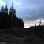 waylon peterson - @waylonnpetersonn - Instagram