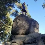 Waylon white - @way.osgood - Instagram