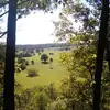 Waylon White - @waylon.white7 - TikTok