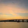Waylon - @waylonyoung055 - TikTok