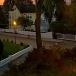 WAYLON Young - @waylonyoung49 - Instagram